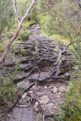 A bit rough underfoot today