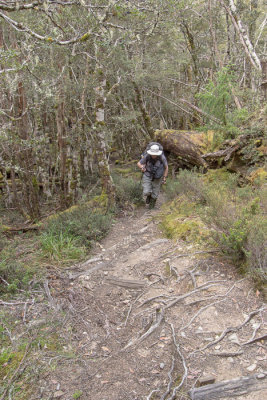 The track now climbs steadily to Pelion Gap