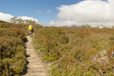 Suddently out of the forest onto the windswept saddle of Pelion Gap