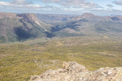 From the summit of Pelion East, we can see where we will spend the night, in the shadow of Cathedral Mountain (left)