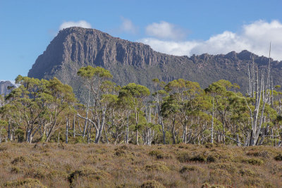 Mt Massif overlooks the track down from Pelion Gap