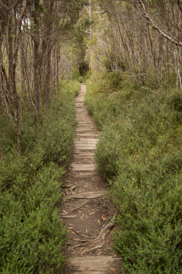 The trail beckons