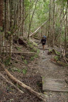 The track heads up the Mersey Valley, on the eastern slopes of  the Du Cane Range