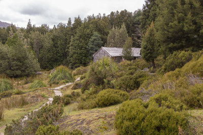 In a clearing in the forest is Du Cane Hut