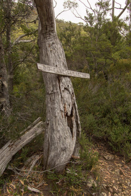 The forest was too thick to see many mountains. But for the sign we wouldn't have known that we'd crossed the gap at all.