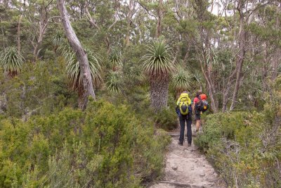 Overland Track Day 5: Kia Ora to Windy Ridge