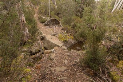 Innovative bridge across a small creek