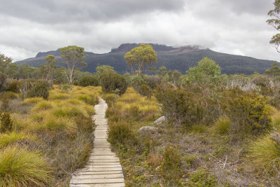 We reach the flatter Buttongrass moorland at the bottom of the valley