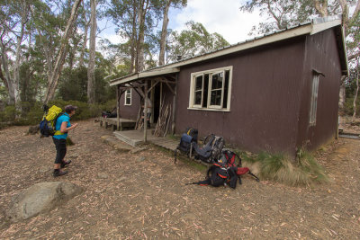 Narcissus Hut