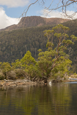 Mt Olympus from Narcissus Bay