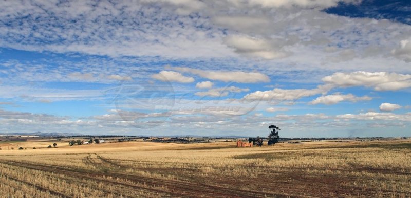 Mid north ruin (100_9912)