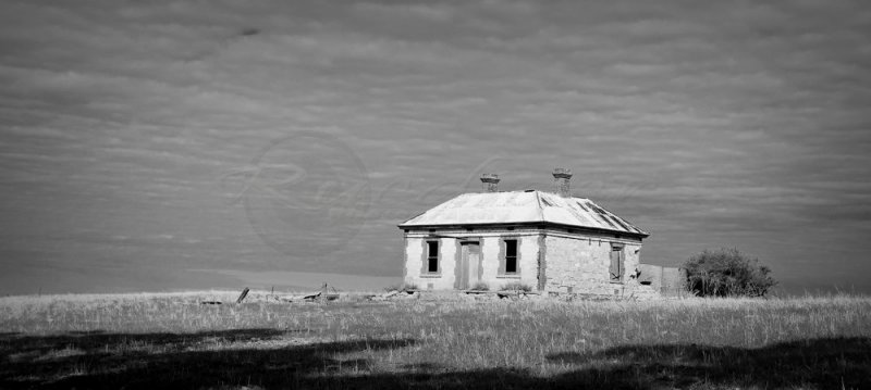 Abandoned 4 (100_9959)