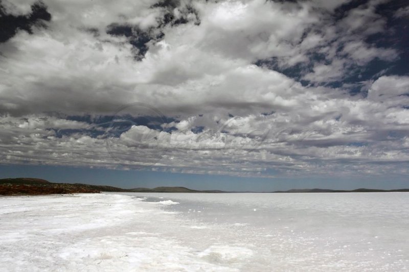 Lake Gairdner (100_0098)