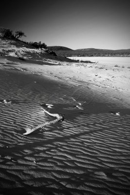 Sand dune (BW_100_0040)