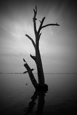 Lake Mulwalla (BW_100_0765)