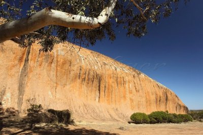 Pildappa Rock - Minnipa, South Australia (100_0514)