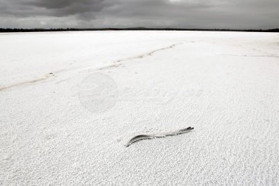 Sturt salt lake (100_0418)