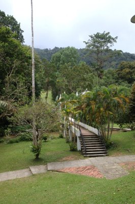 Botanical gardens Penang