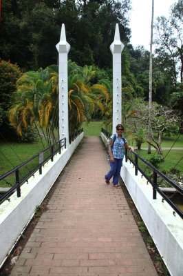 Botanical gardens Penang