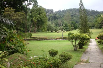 Botanical gardens Penang