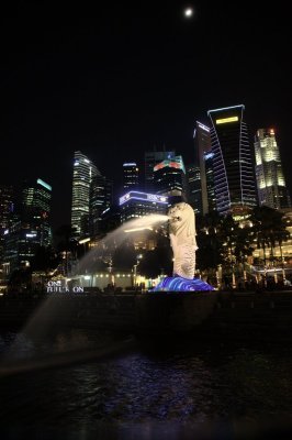 Merlion by night