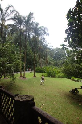 Singapore botanical gardens