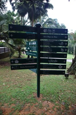 Singapore botanical gardens