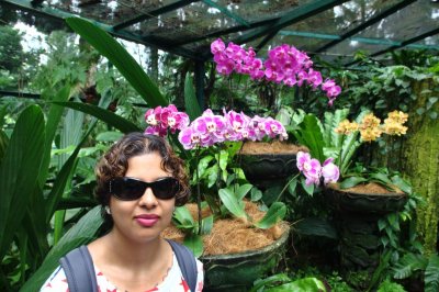 Singapore orchid garden