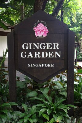 Singapore ginger garden
