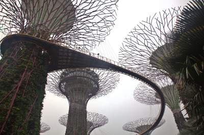 Gardens by the bay