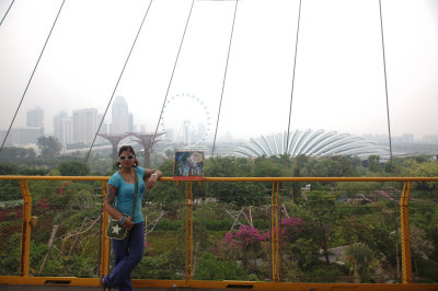 Gardens by the bay