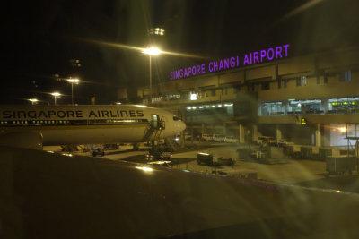 Changi - and my SIN-AKL flight