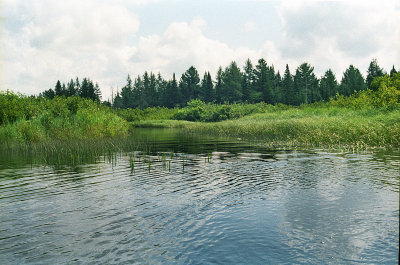 Oswegotchie River  
