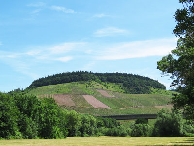 Mosel River view