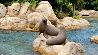 Another great time at SeaWorld