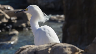 IMG_0540.jpg
