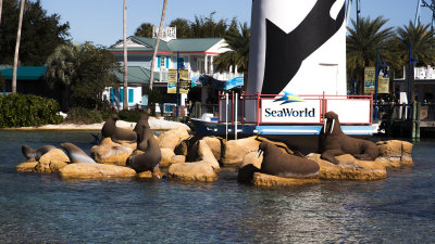 Photos from SeaWorld