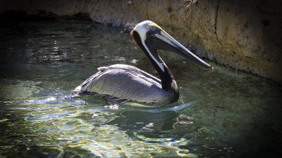 IMG_5129.jpg