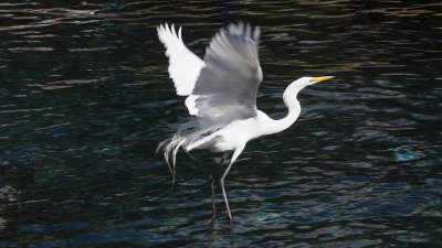 IMG_5312.jpg
