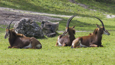 IMG_7253.jpg