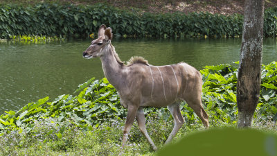 IMG_7365.jpg