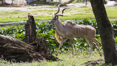 IMG_7370.jpg