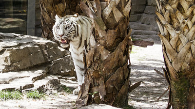 More photos from Busch Gardens