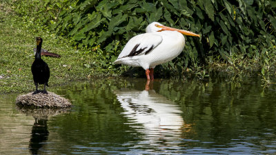IMG_8089.jpg