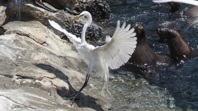 IMG_3188a.jpg