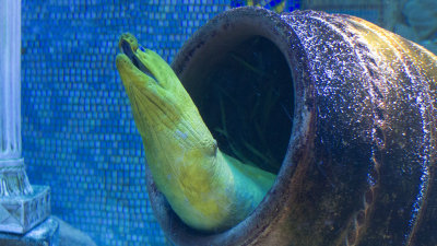 IMG_0995.jpg