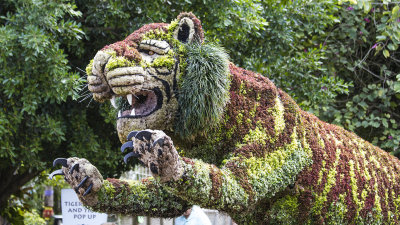 More Pictures again from Busch Gardens