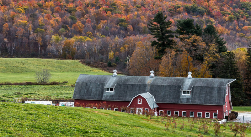 Berkshire Barn