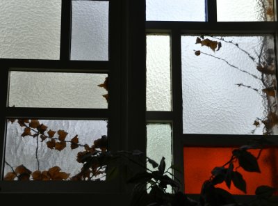 Mondrian
With A Little Nature Thrown In