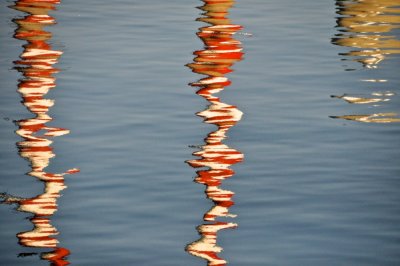 Candy Cane Reflections